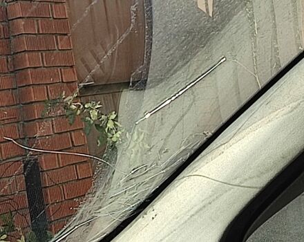 Серый Ниссан Кашкай, объемом двигателя 1.6 л и пробегом 134 тыс. км за 7500 $, фото 5 на Automoto.ua