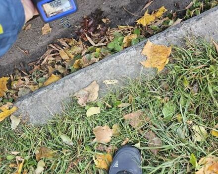 Серый Ниссан Кашкай, объемом двигателя 1.6 л и пробегом 239 тыс. км за 13999 $, фото 46 на Automoto.ua