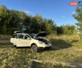 Белый Ниссан Кашкай 2, объемом двигателя 1.46 л и пробегом 241 тыс. км за 11200 $, фото 22 на Automoto.ua