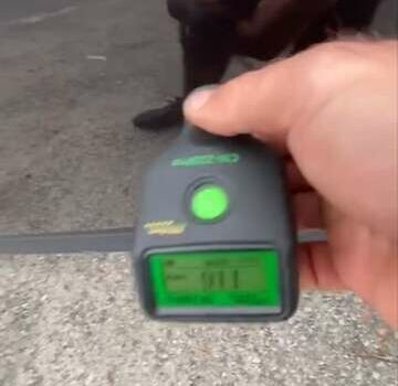 Фиолетовый Ниссан Кашкай 2, объемом двигателя 1.5 л и пробегом 236 тыс. км за 10250 $, фото 36 на Automoto.ua