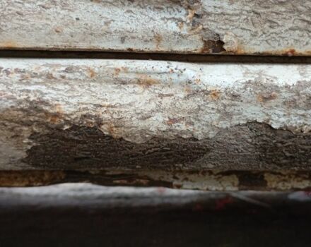 Білий Ніссан Санні, об'ємом двигуна 1 л та пробігом 270 тис. км за 350 $, фото 14 на Automoto.ua