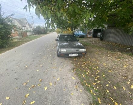 Серый Ниссан Санни, объемом двигателя 1.6 л и пробегом 10 тыс. км за 800 $, фото 1 на Automoto.ua