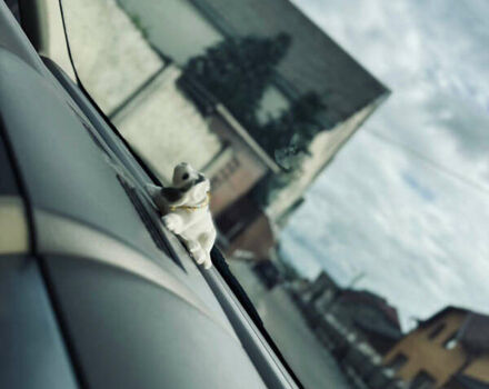 Черный Ниссан Тиида, объемом двигателя 1.6 л и пробегом 187 тыс. км за 5800 $, фото 18 на Automoto.ua