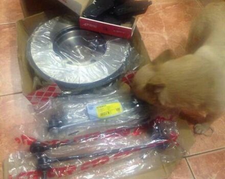 Бежевый Ниссан ИксТрейл, объемом двигателя 2 л и пробегом 293 тыс. км за 7999 $, фото 28 на Automoto.ua