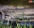 Серый Ниссан ИксТрейл, объемом двигателя 2.5 л и пробегом 437 тыс. км за 6200 $, фото 30 на Automoto.ua