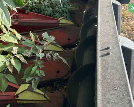 ОЛімак Драго, об'ємом двигуна 0 л та пробігом 1 тис. км за 31500 $, фото 3 на Automoto.ua