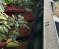 ОЛімак Драго, об'ємом двигуна 0 л та пробігом 1 тис. км за 31500 $, фото 3 на Automoto.ua