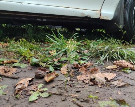 Опель Астра 1995 в Корсунь-Шевченковском на Automoto.ua Белый Опель Астра, объемом двигателя 1.4 л и пробегом 312 тыс. км за 1100 $, фото 18 на Automoto.ua