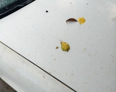 Опель Астра 1998 в Снигиревке на Automoto.ua Белый Опель Астра, объемом двигателя 1.7 л и пробегом 36 тыс. км за 720 $, фото 1 на Automoto.ua