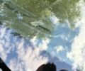 Белый Опель Астра, объемом двигателя 1.6 л и пробегом 167 тыс. км за 9900 $, фото 23 на Automoto.ua