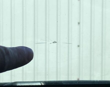 Чорний Опель Астра, об'ємом двигуна 1.6 л та пробігом 249 тис. км за 10700 $, фото 40 на Automoto.ua