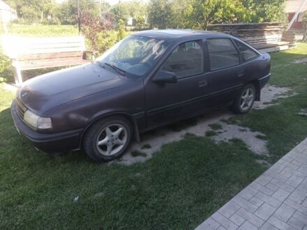 Опель Астра 1992 в Рожище на Automoto.ua Коричневый Опель Астра, объемом двигателя 0 л и пробегом 120 тыс. км за 875 $, фото 1 на Automoto.ua