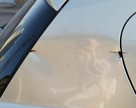 Опель Астра 2006 в Киеве на Automoto.ua Серый Опель Астра, объемом двигателя 1.6 л и пробегом 280 тыс. км за 4200 $, фото 21 на Automoto.ua