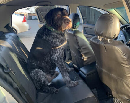 Сірий Опель Астра, об'ємом двигуна 1.39 л та пробігом 252 тис. км за 3850 $, фото 15 на Automoto.ua