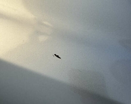 Серый Опель Астра, объемом двигателя 1.6 л и пробегом 190 тыс. км за 5000 $, фото 23 на Automoto.ua