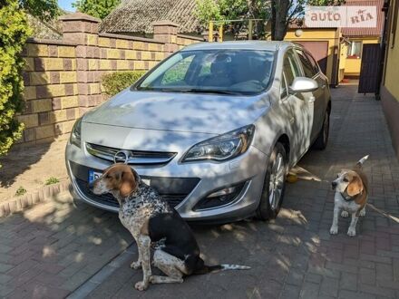 Опель Астра 2016 в Ровно на Automoto.ua Серый Опель Астра, объемом двигателя 1.6 л и пробегом 146 тыс. км за 9850 $, фото 1 на Automoto.ua