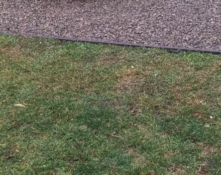 Зелений Опель Астра, об'ємом двигуна 0 л та пробігом 190 тис. км за 1000 $, фото 2 на Automoto.ua