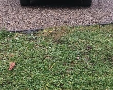 Зелений Опель Астра, об'ємом двигуна 0 л та пробігом 190 тис. км за 1000 $, фото 3 на Automoto.ua