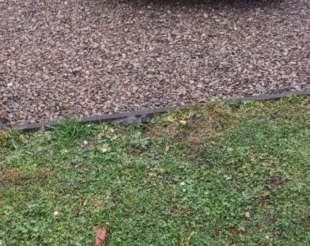 Зелений Опель Астра, об'ємом двигуна 0 л та пробігом 190 тис. км за 1000 $, фото 4 на Automoto.ua