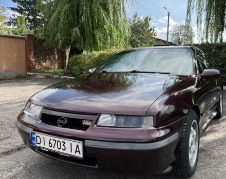 Фиолетовый Опель Калибра, объемом двигателя 2 л и пробегом 280 тыс. км за 2600 $, фото 2 на Automoto.ua