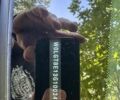 Черный Опель Инсигния, объемом двигателя 1.96 л и пробегом 176 тыс. км за 10950 $, фото 41 на Automoto.ua