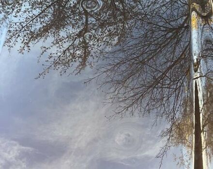 Коричневый Опель Инсигния, объемом двигателя 1.96 л и пробегом 235 тыс. км за 9500 $, фото 7 на Automoto.ua