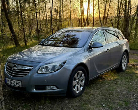 Серый Опель Инсигния, объемом двигателя 1.96 л и пробегом 235 тыс. км за 6800 $, фото 2 на Automoto.ua