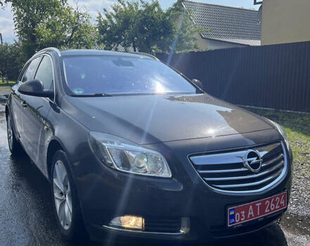 Серый Опель Инсигния, объемом двигателя 2 л и пробегом 213 тыс. км за 8950 $, фото 18 на Automoto.ua
