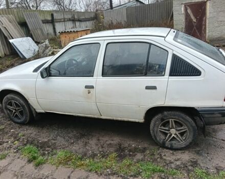 Белый Опель Кадет, объемом двигателя 0 л и пробегом 446 тыс. км за 500 $, фото 6 на Automoto.ua