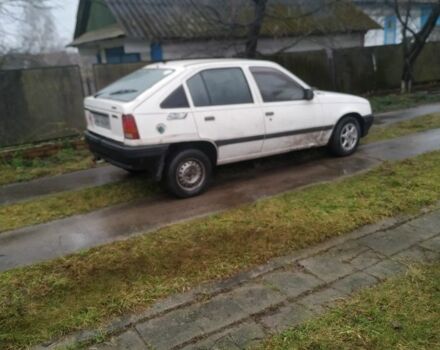 Белый Опель Кадет, объемом двигателя 0 л и пробегом 100 тыс. км за 486 $, фото 2 на Automoto.ua