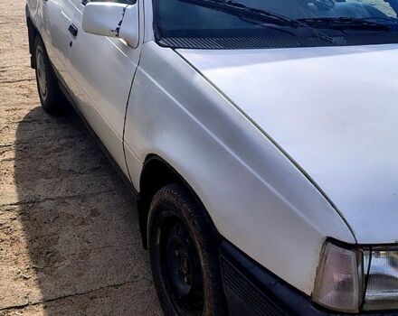 Белый Опель Кадет, объемом двигателя 1.4 л и пробегом 500 тыс. км за 800 $, фото 2 на Automoto.ua