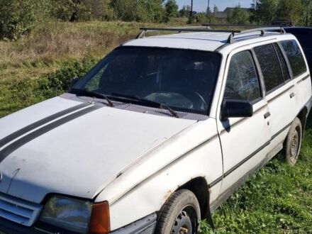 Белый Опель Кадет, объемом двигателя 0 л и пробегом 2 тыс. км за 500 $, фото 1 на Automoto.ua