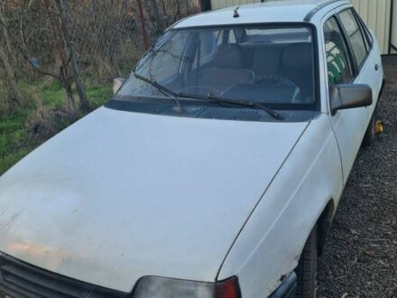 Опель Кадет 1991 в Николаеве на Automoto.ua Белый Опель Кадет, объемом двигателя 1.3 л и пробегом 150 тыс. км за 800 $, фото 1 на Automoto.ua