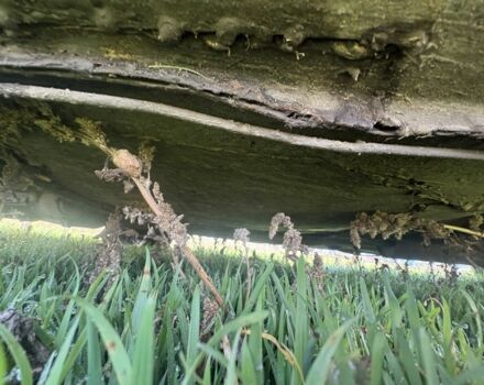 Черный Опель Кадет, объемом двигателя 1.6 л и пробегом 428 тыс. км за 713 $, фото 5 на Automoto.ua