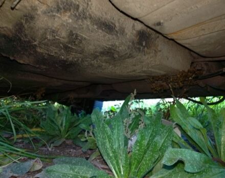 Червоний Опель Кадет, об'ємом двигуна 0 л та пробігом 58 тис. км за 300 $, фото 6 на Automoto.ua