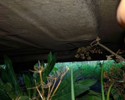 Червоний Опель Кадет, об'ємом двигуна 0 л та пробігом 58 тис. км за 300 $, фото 7 на Automoto.ua