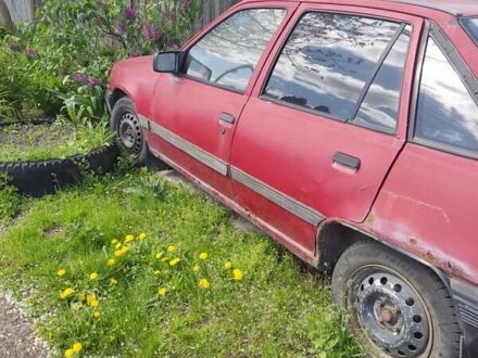 Опель Кадет 1986 у Чернігові на Automoto.ua Червоний Опель Кадет, об'ємом двигуна 1.6 л та пробігом 333 тис. км за 434 $, фото 1 на Automoto.ua