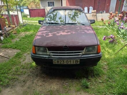 Опель Кадет 1988 у Тернополі на Automoto.ua Червоний Опель Кадет, об'ємом двигуна 1.3 л та пробігом 200 тис. км за 700 $, фото 1 на Automoto.ua
