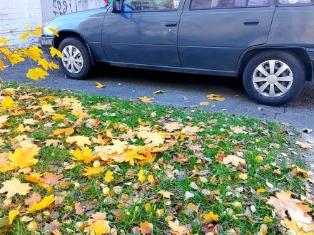 Опель Кадет 1989 в Киеве на Automoto.ua Опель Кадет, объемом двигателя 1.5 л и пробегом 200 тыс. км за 750 $, фото 1 на Automoto.ua