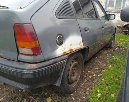 Серый Опель Кадет, объемом двигателя 0 л и пробегом 300 тыс. км за 381 $, фото 2 на Automoto.ua