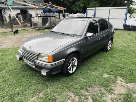 Опель Кадет 1987 в Чернигове на Automoto.ua Серый Опель Кадет, объемом двигателя 1.3 л и пробегом 97 тыс. км за 1500 $, фото 1 на Automoto.ua