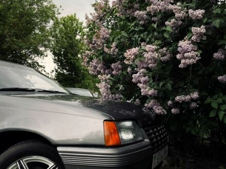 Опель Кадет 1987 у Чернігові на Automoto.ua Сірий Опель Кадет, об'ємом двигуна 1.3 л та пробігом 97 тис. км за 2200 $, фото 1 на Automoto.ua