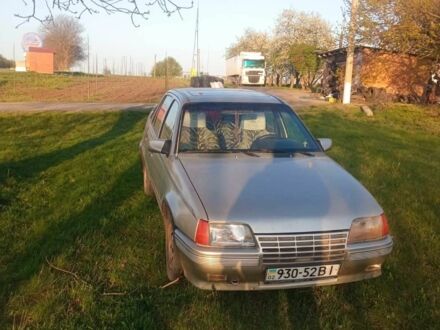 Опель Кадет 1988 у Бершаде на Automoto.ua Сірий Опель Кадет, об'ємом двигуна 1.3 л та пробігом 1000 тис. км за 1200 $, фото 1 на Automoto.ua
