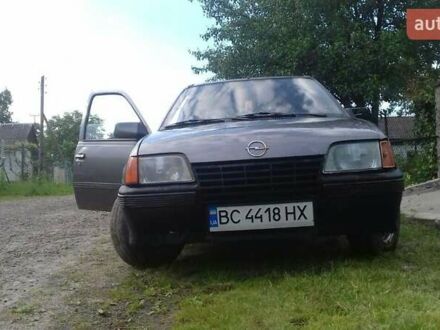 Серый Опель Кадет, объемом двигателя 1.3 л и пробегом 110 тыс. км за 1250 $, фото 1 на Automoto.ua