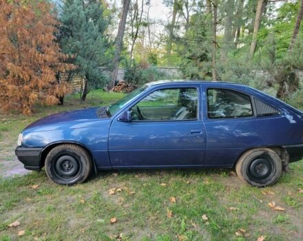 Синий Опель Кадет, объемом двигателя 1.4 л и пробегом 399 тыс. км за 1100 $, фото 8 на Automoto.ua