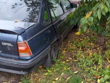 Синий Опель Кадет, объемом двигателя 1.3 л и пробегом 73 тыс. км за 550 $, фото 1 на Automoto.ua