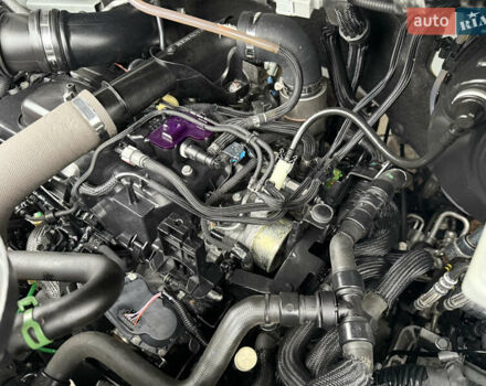 Білий Опель Movano, об'ємом двигуна 0 л та пробігом 156 тис. км за 17400 $, фото 98 на Automoto.ua