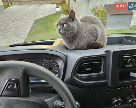 Чорний Опель Movano, об'ємом двигуна 0 л та пробігом 260 тис. км за 18800 $, фото 27 на Automoto.ua