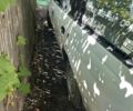 Білий Опель Омега, об'ємом двигуна 2 л та пробігом 500 тис. км за 447 $, фото 5 на Automoto.ua
