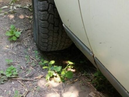 Білий Опель Омега, об'ємом двигуна 2 л та пробігом 250 тис. км за 903 $, фото 1 на Automoto.ua